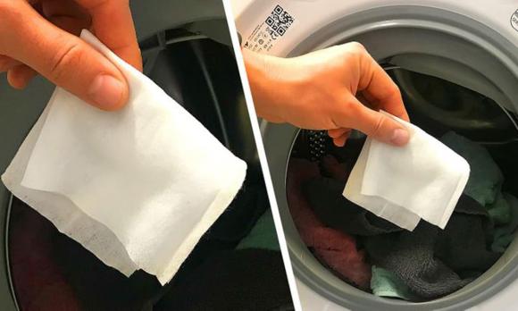 cá tốt cho sức khỏe, cá biển, cá nuôi nhân tạo