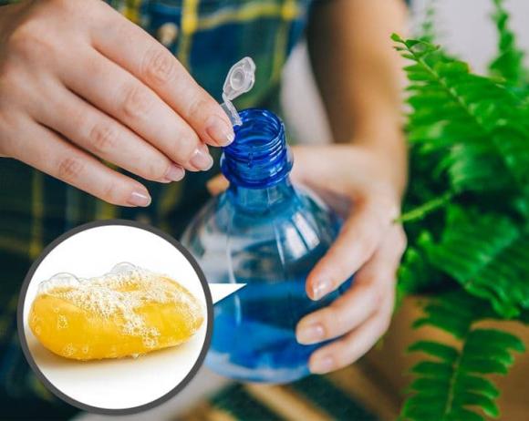 xà phòng, cách dùng xà phòng, kiến thức 
