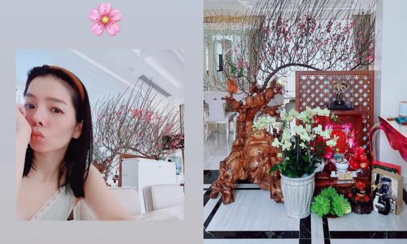 nữ ca sĩ lệ quyên, sao việt