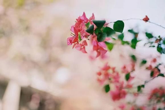 người già, tư tưởng của người già, 3 điều người lớn tuổi nên tránh