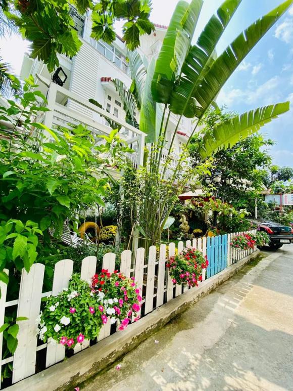 ca sĩ vy oanh, sao việt 