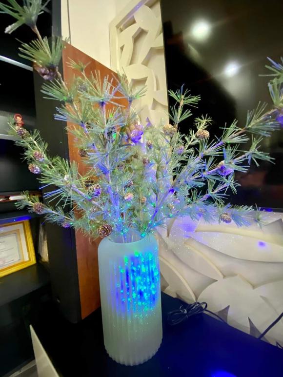 ca sĩ vy oanh, sao việt 