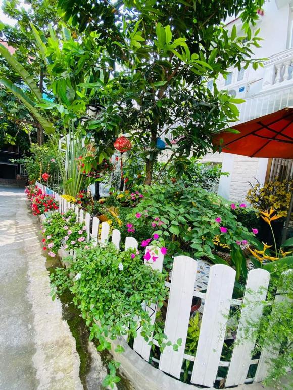 ca sĩ vy oanh, sao việt 