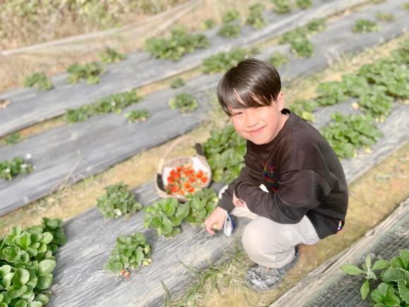 Tin sao việt, tin sao việt hot nhất, tin sao việt mới nhất, tin sao việt tháng 1