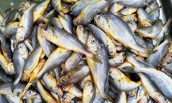 người nổi tiếng, thói quen tốt cho sức khỏe, chăm sóc sức khỏe 