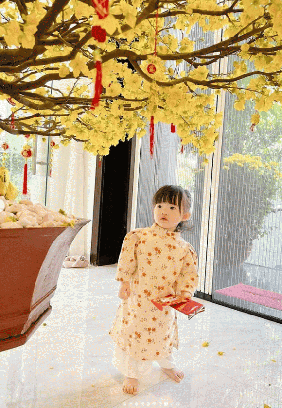 Maximus và Apollo, Winnie, Suchin, Gia Huy và Gia Hưng, sao Việt