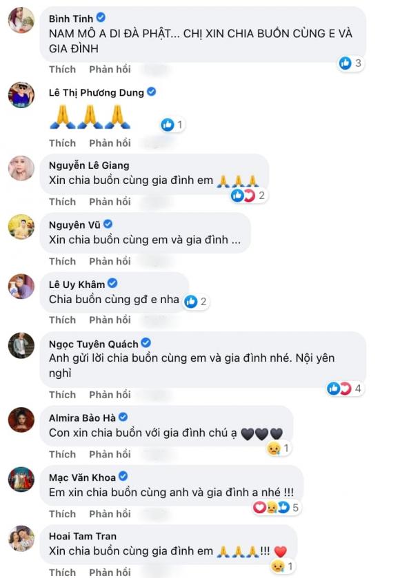 diễn viên Lê Dương Bảo Lâm, nghệ sĩ Lê Dương Bảo Lâm, sao Việt