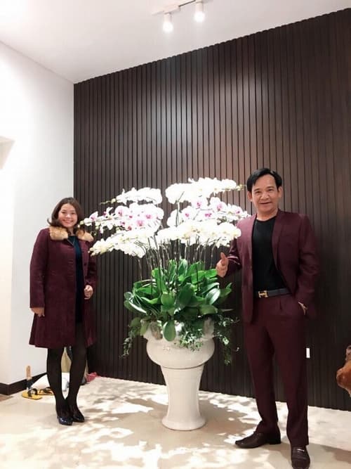 nghệ sĩ Quang Tèo, Quang Tèo, sao Việt