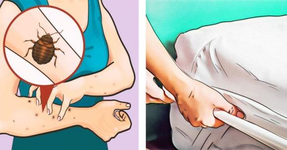 khách sạn, lưu ý khi đi khách sạn, kiến thức 