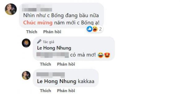 Diva Hồng Nhung, Hồng Nhung, sao Việt