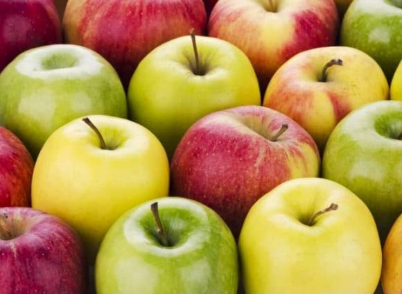táo, ăn táo giảm cholesterol, cholesterol, bệnh tim mạch, 