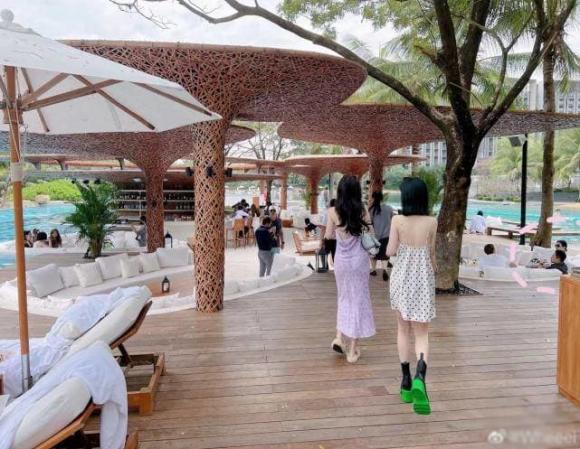 Từ Hy Viên, Uông Tiểu Phi, sao Đài Loan