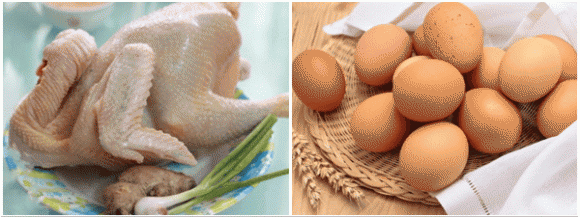 gà kho tàu, dạy nấu ăn, món ngon
