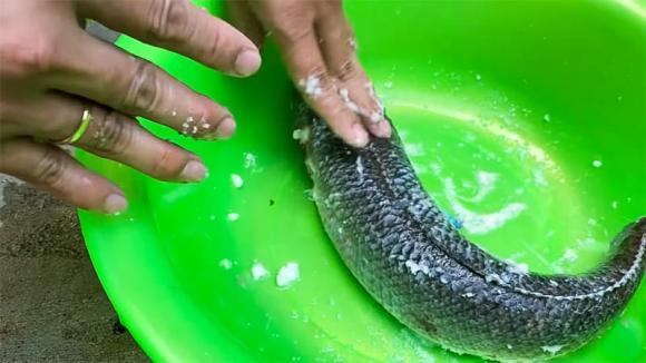 cá lóc hấp bầu, cách làm món cá lóc hấp bầu, món ngon 