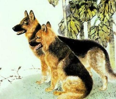 tử vi, con giáp, tử vi năm tới