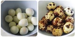 trứng cút rán nước mắm nam ngư, dạy dỗ nấu bếp, khoản ngon