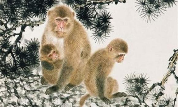 tướng số, nét quý tướng, tướng phụ nữ giàu sang