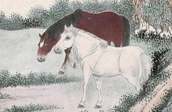 con giáp, tử vi, tử vi ngày 16
