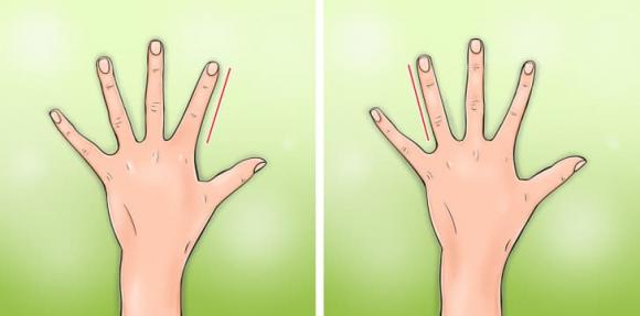 nhận biết tổ tiên, tổ tiên bạn ở đâu, kiến thức 