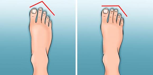 nhận biết tổ tiên, tổ tiên bạn ở đâu, kiến thức 