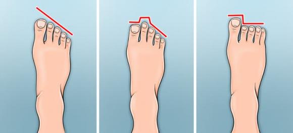 nhận biết tổ tiên, tổ tiên bạn ở đâu, kiến thức 