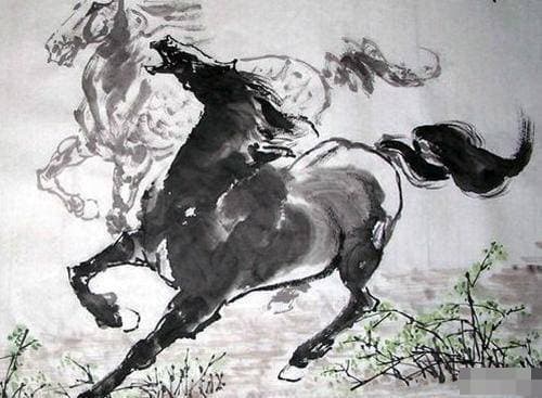 tử vi, con giáp, tuổi Ngọ, tuổi ngựa