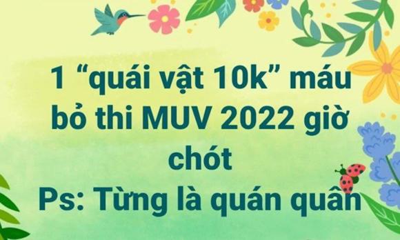 nguyễn oanh, ngọc châu, nam anh, đỗ nhật hà, hoa hậu hoàn vũ, sao việt