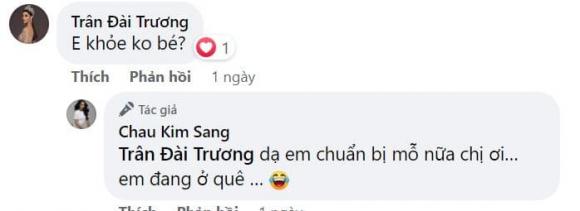 Châu Kim Sang, Người đẹp, Sao Việt