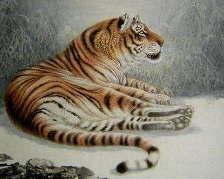 tử vi, con giáp, tử vi ngày 24