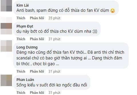 á hậu Kim Duyên, sao Việt
