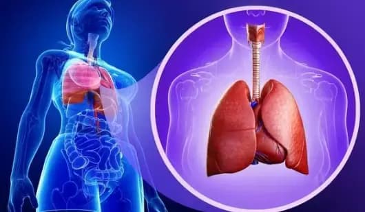 ngủ, giấc ngủ tốt, tư thế nằm ngủ 
