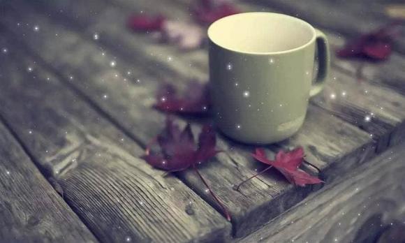 coi thường, giao tiếp, kinh nghiệm ứng xử