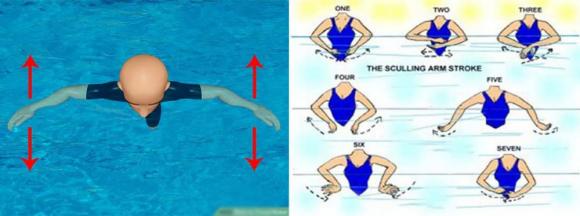 ký năng sống, cách nổi dưới nước, cách bơi