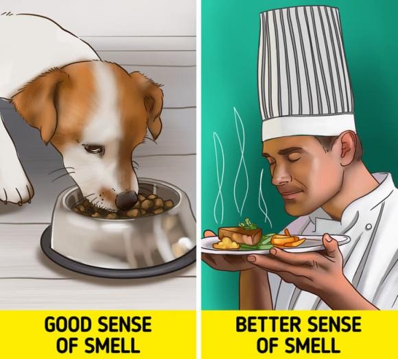 cơ thể con người, sự thật về cơ thể, kiến thức 