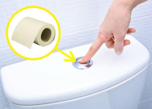 giấy vệ sinh, lõi giấy vệ sinh, đặt lõi giấy vệ sinh trên ghế bồn cầu, đặt phần lõi giấy vệ sinh ở ghế bồn cầu, nhà vệ sinh công cộng