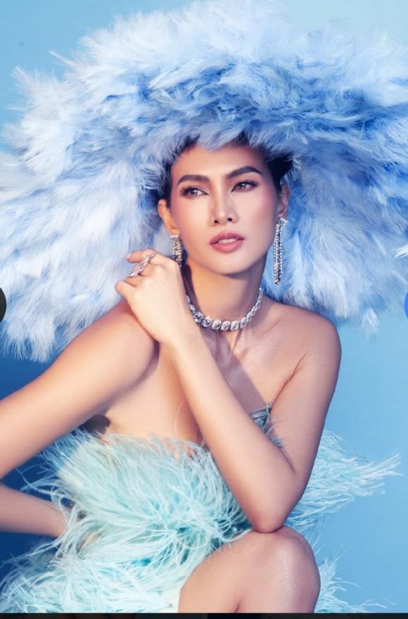siêu mẫu anh thư, sao việt 
