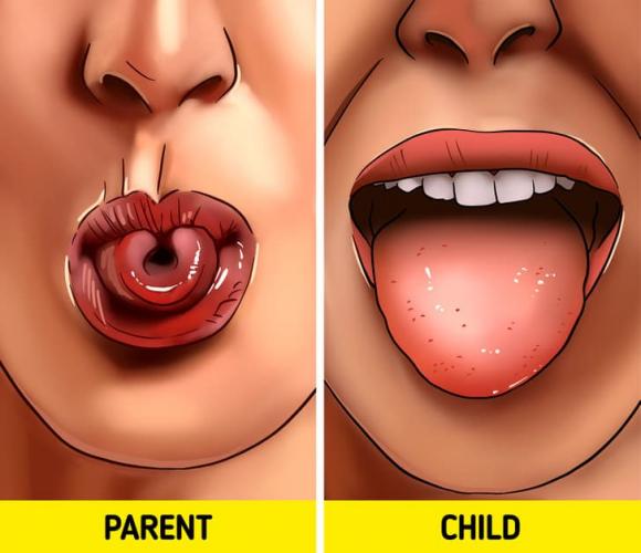 cơ thể con người, sự thật về cơ thể, kiến thức 
