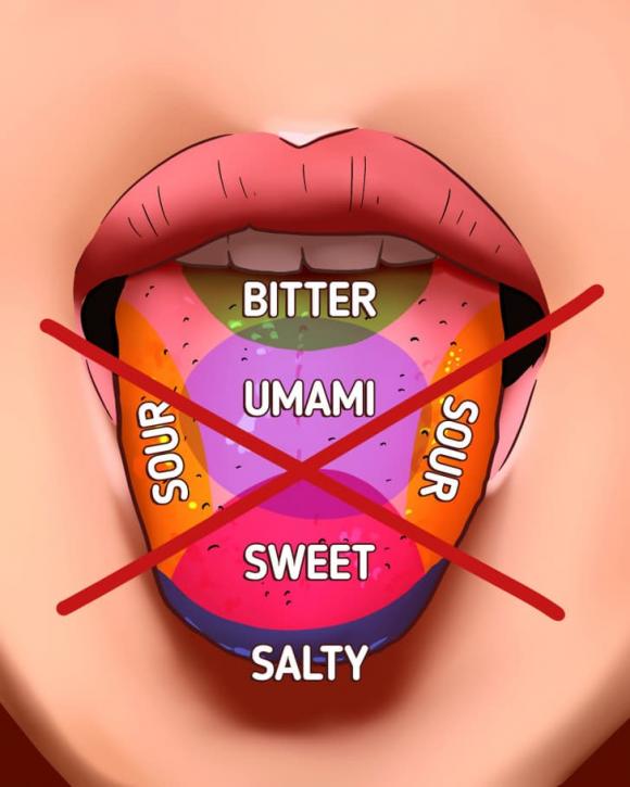 cơ thể con người, sự thật về cơ thể, kiến thức 