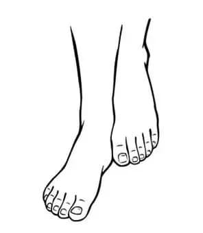 tướng chân, bàn chân