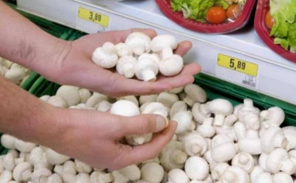 cách chọn nấm đông cô, nấm đông cô, nấm ngon