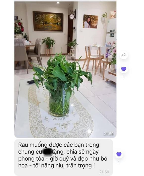 Mc hoài anh,mẹ mc hoài anh,sao việt