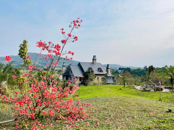 nhà đẹp, nhà theo phong cách Châu Âu, ngôi nhà đẹp như truyện cổ tích