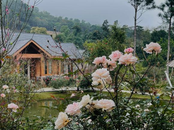 nhà đẹp, nhà theo phong cách Châu Âu, ngôi nhà đẹp như truyện cổ tích