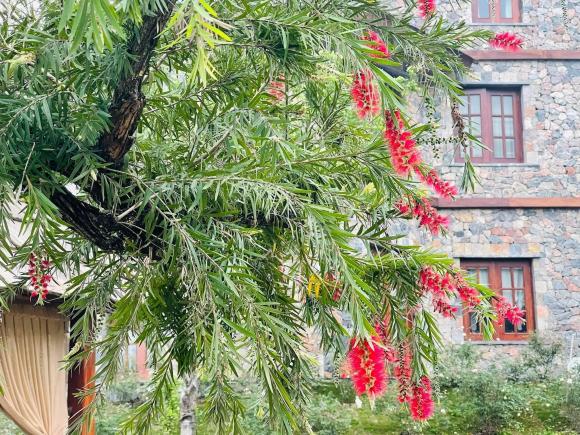 nhà đẹp, nhà theo phong cách Châu Âu, ngôi nhà đẹp như truyện cổ tích