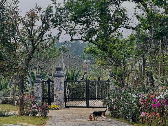 nhà đẹp, nhà theo phong cách Châu Âu, ngôi nhà đẹp như truyện cổ tích