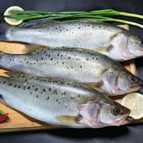 thịt cá, cá ngon, những bộ phận của cá không nên ăn