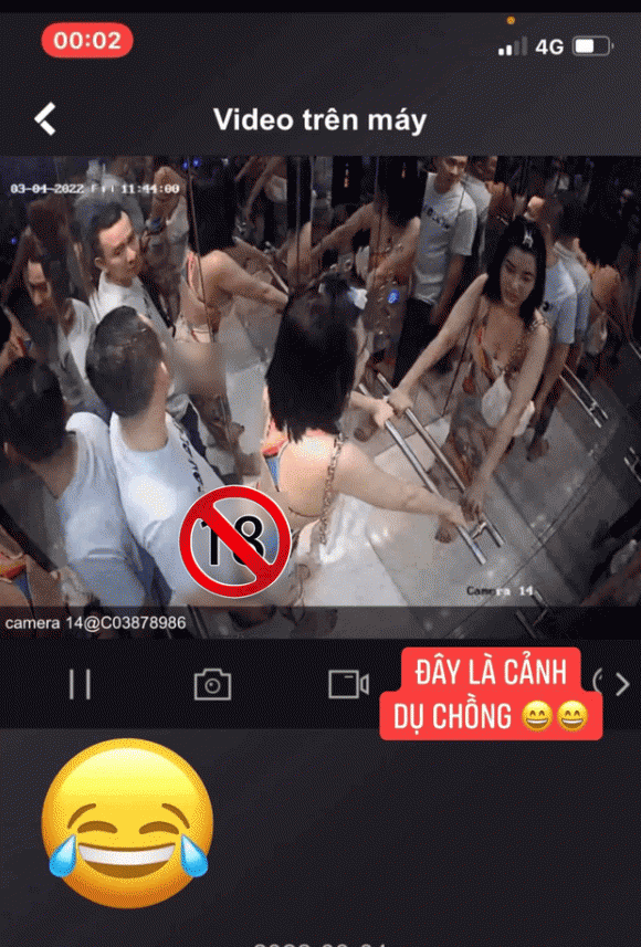 á hậu Phạm Lan Phương, sao Việt