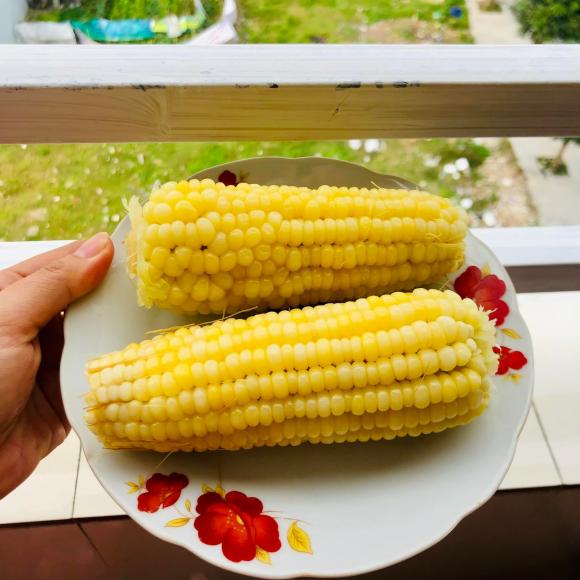 mâm cơm, mâm cơm cho người f0, món ngon 