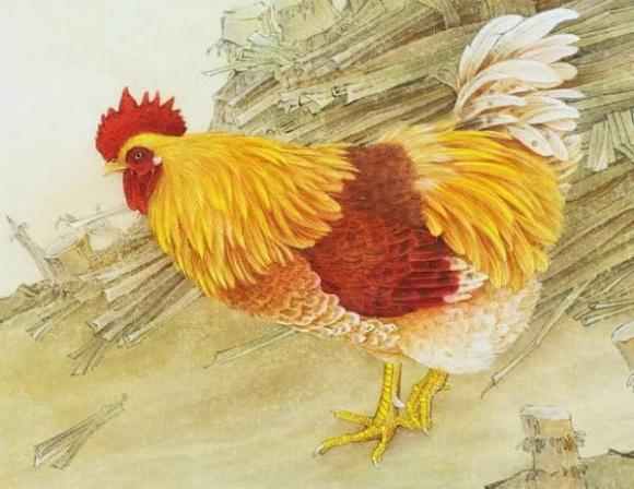 tử vi, con giáp, tử vi ngày mùng 9