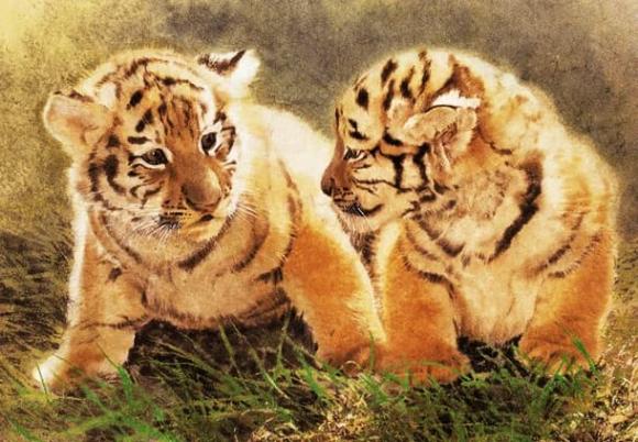 tử vi, con giáp, tử vi ngày mùng 9